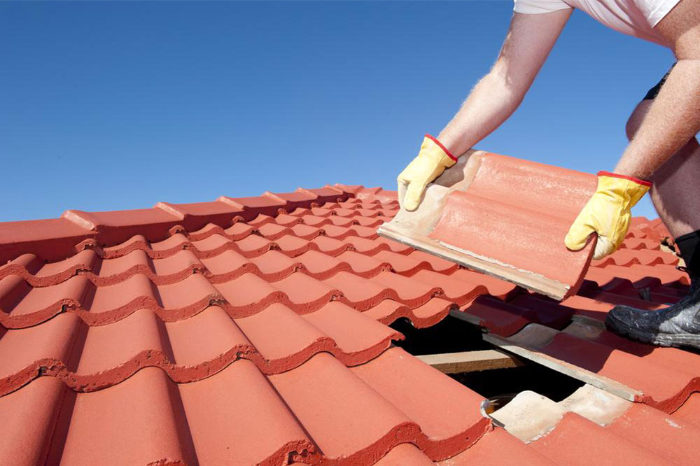 Essential Guide to Roof Replacement: What Homeowners Should Know