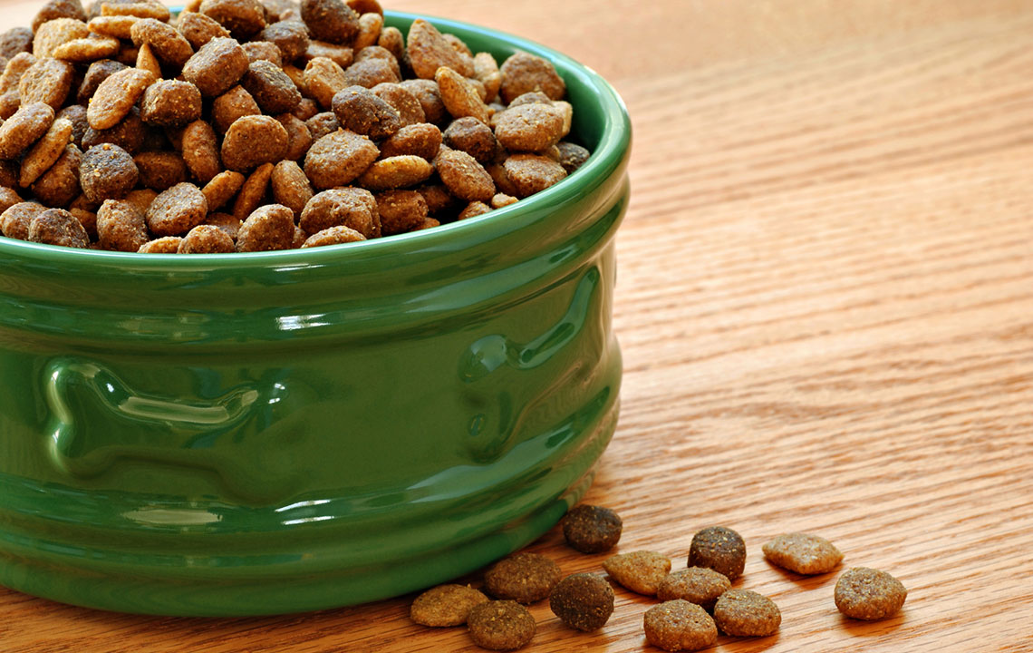 Advantages of Canned Wet Dog Food