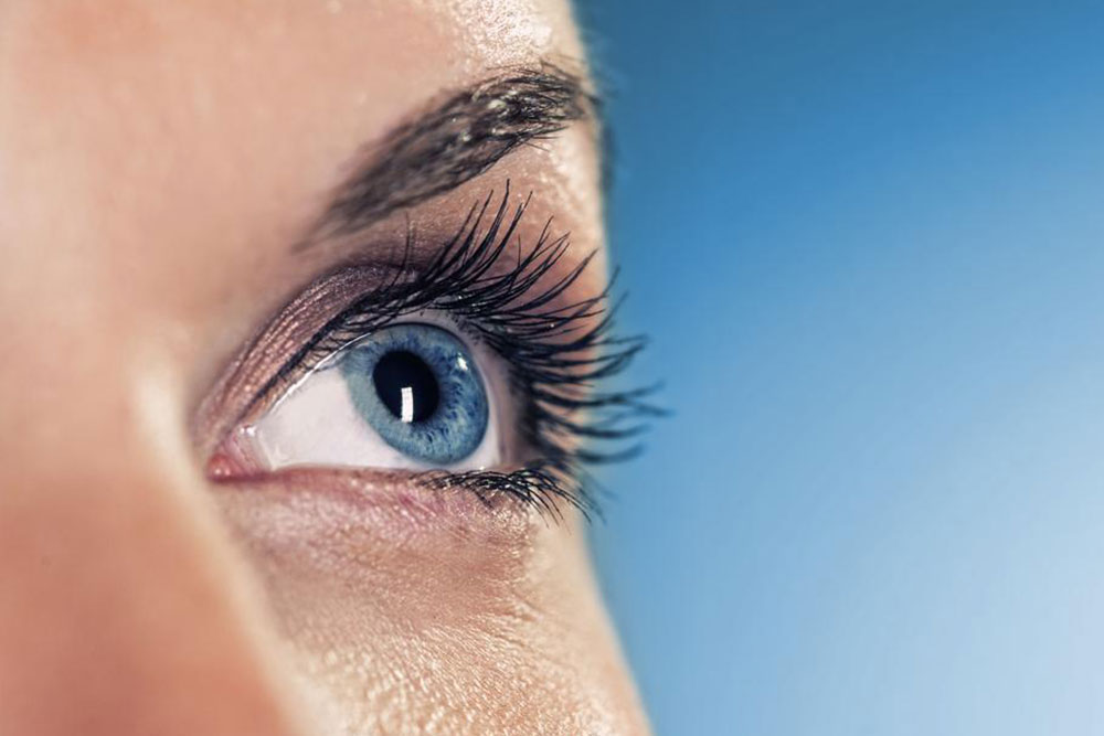 Essential Nutrients to Support Healthy Vision