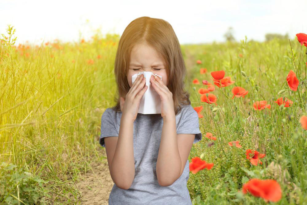 Comprehensive Guide to Different Types of Allergies and Their Warning Signs