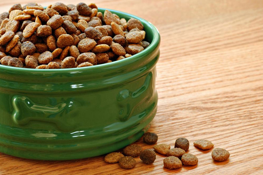 Affordable Dry Dog and Puppy Food Options You Can Trust