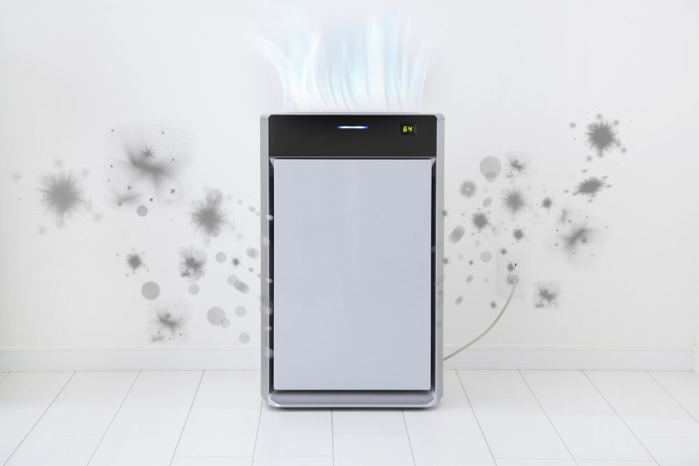 Top 5 Indoor Air Purifiers for Better Home Air Quality