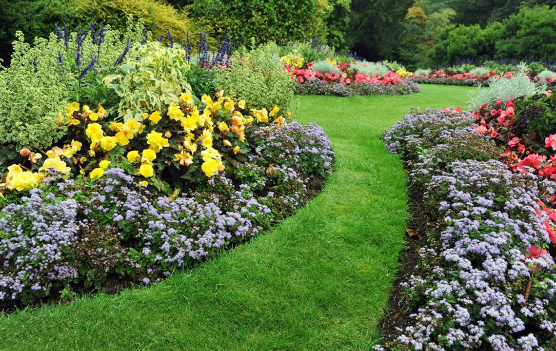 Essential Tips for a Stunning and Tidy Garden
