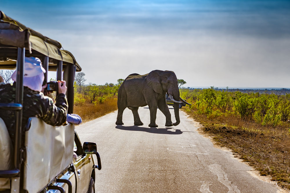 How to Choose the Perfect African Travel Experience