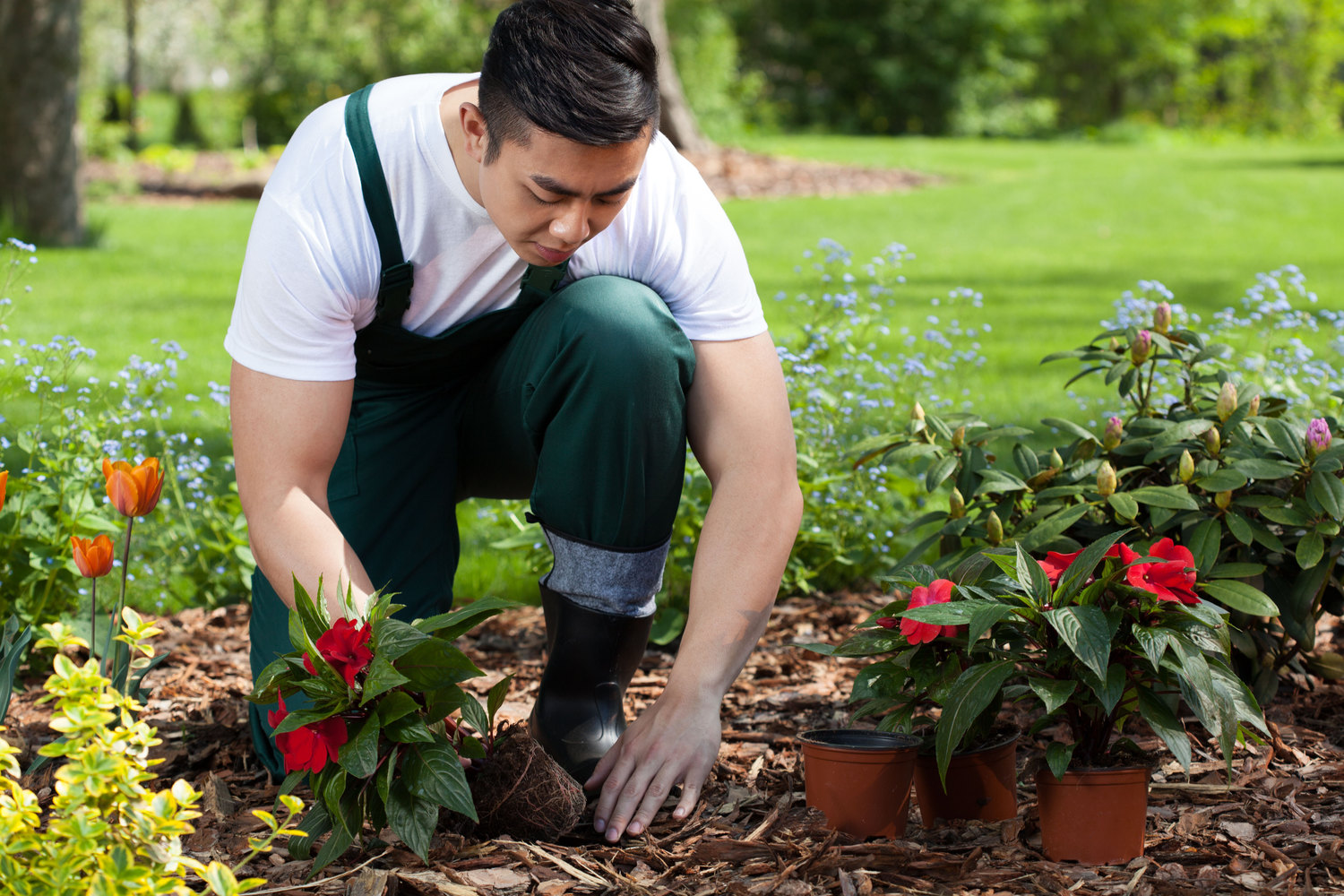 Innovative Garden Design Ideas to Transform Your Home Outdoors and Indoors