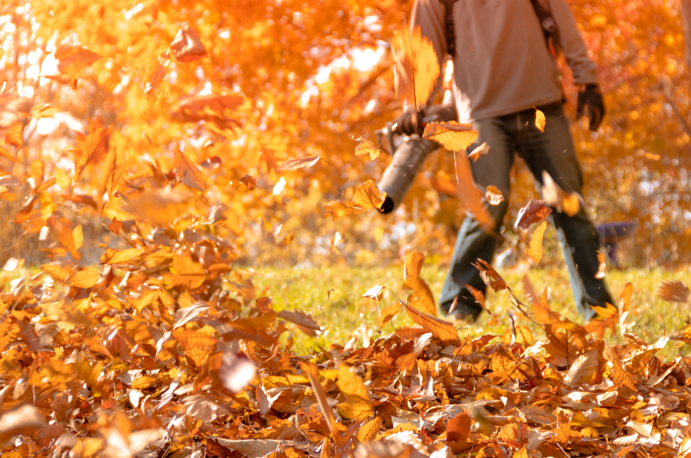 Guide to Selecting the Ideal Leaf Blower for Your Yard Maintenance Needs