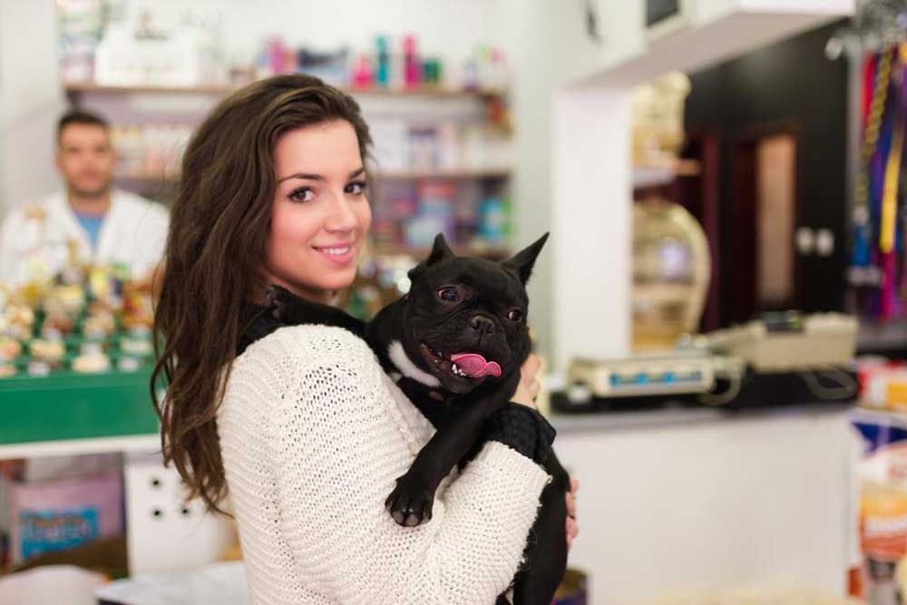 A Complete Guide to French Bulldog Puppies