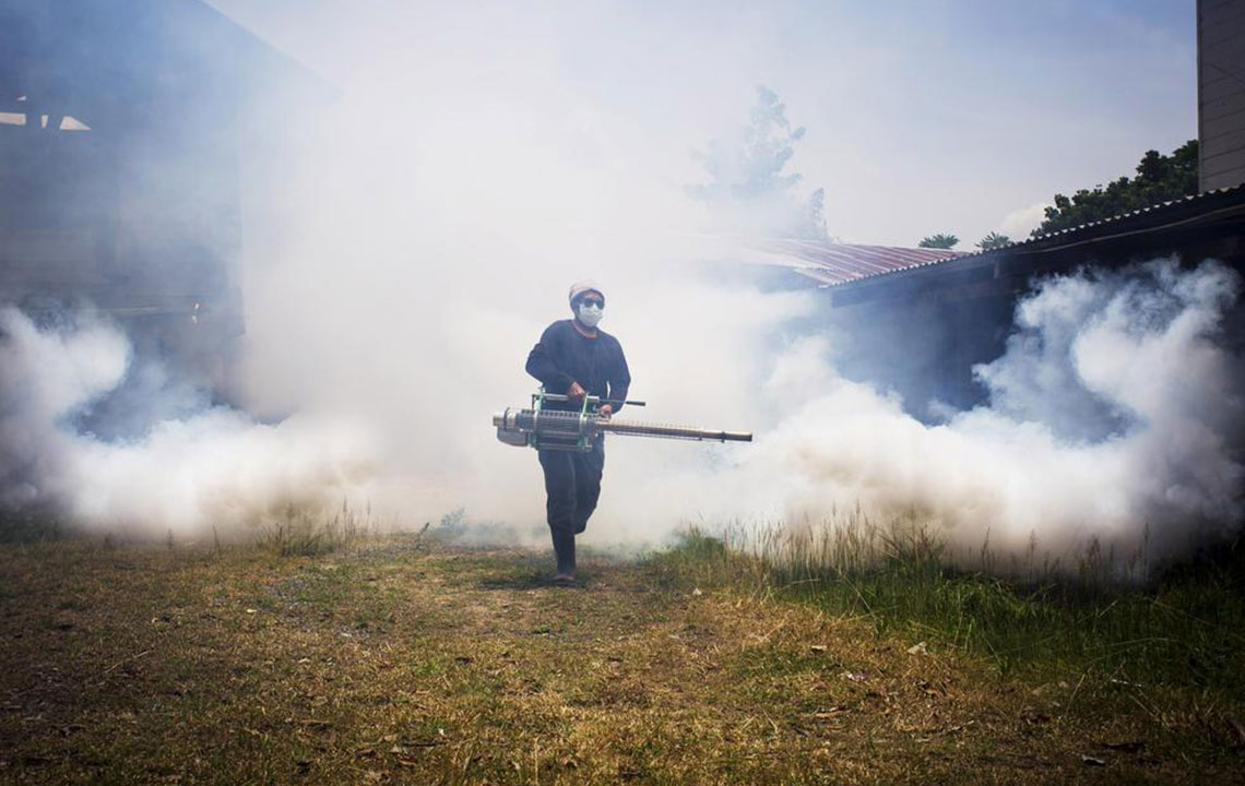 Effective Home Mosquito Control: Essential Insecticides Everyone Should Know