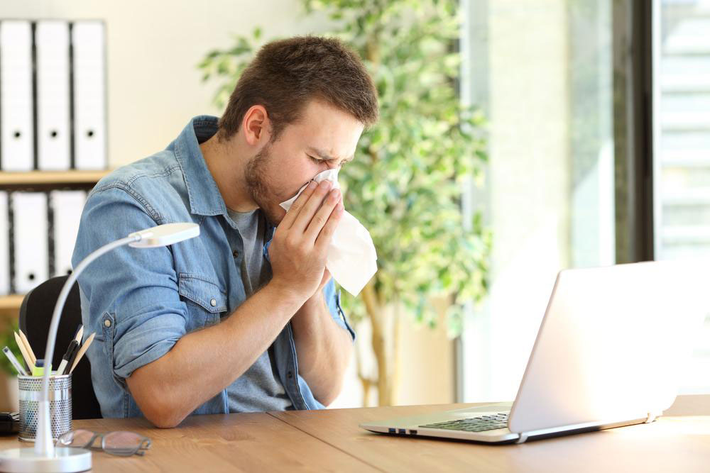 Comprehensive Guide to Air Purification Filters for Allergies