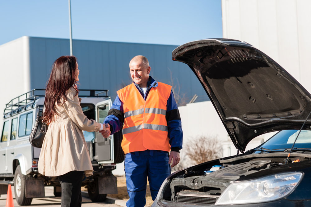 In-Depth Overview of Auto Parts Industry and Dealership Networks