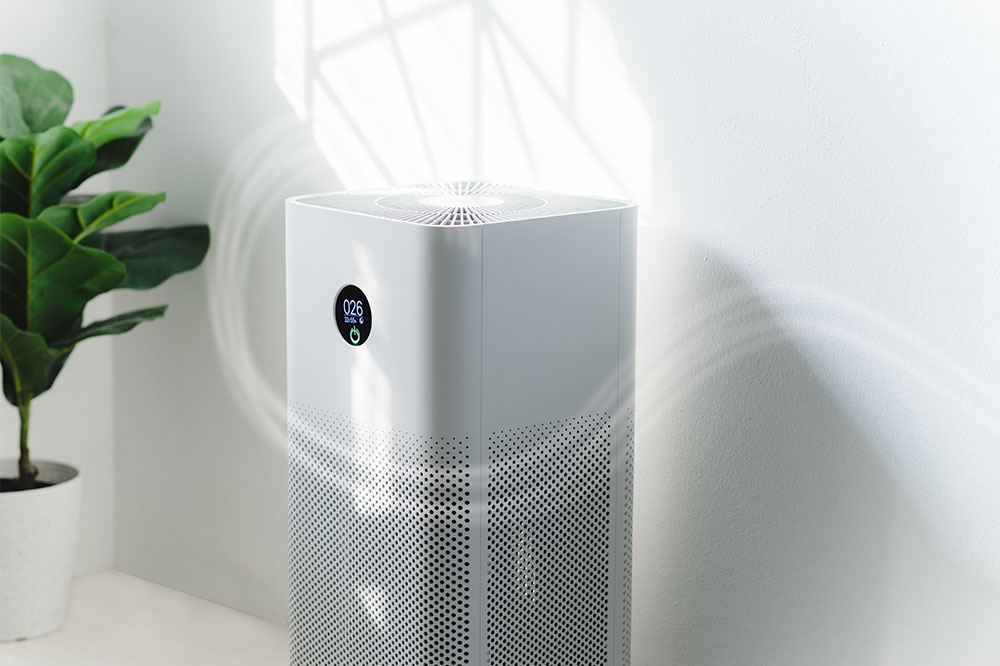 Top 3 Best-Selling Molekule Air Purifiers for Clean Indoor Air
