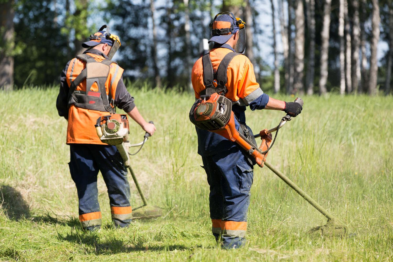 Comprehensive Guide to Various Types of Weed Trimmers