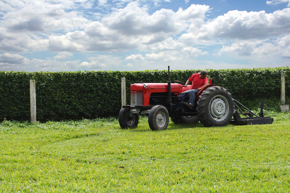 Essential Tips for Choosing the Perfect Farm Tractor
