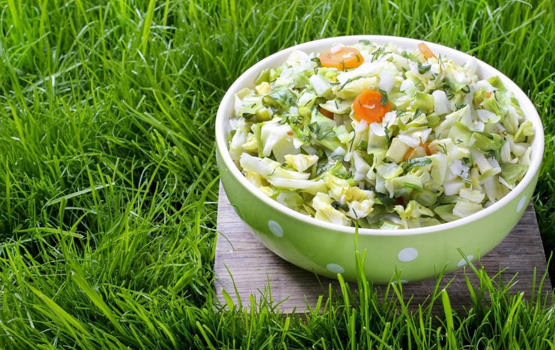 Essential Guide to Managing Diabetes with Proper Meal Planning
