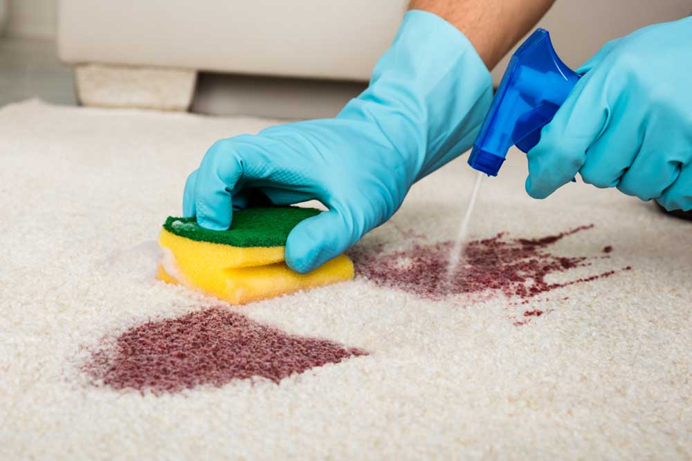 Top 5 Effective Carpet Stain Removal Products