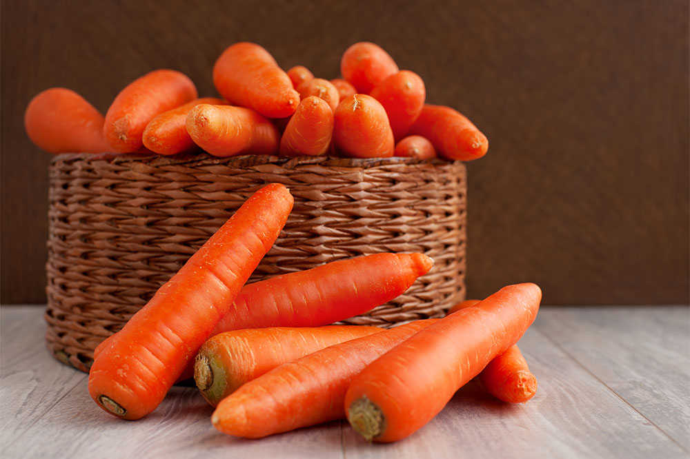 Safe Human Foods for Dogs: Top 3 Options