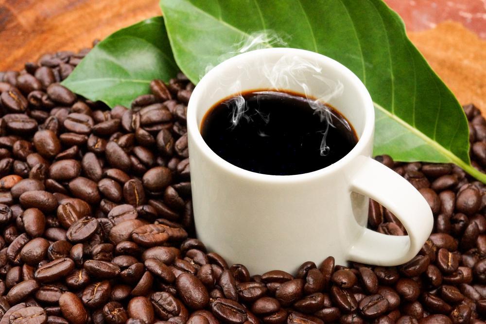 Best Dark Roast Coffee Beans You Can Find Nationwide