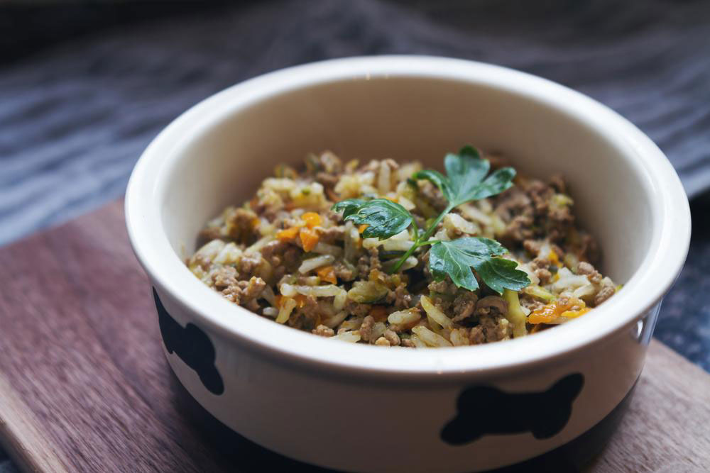 Nutritious Homemade Recipes for Dogs and Puppies: Keep Your Pet Healthy and Happy
