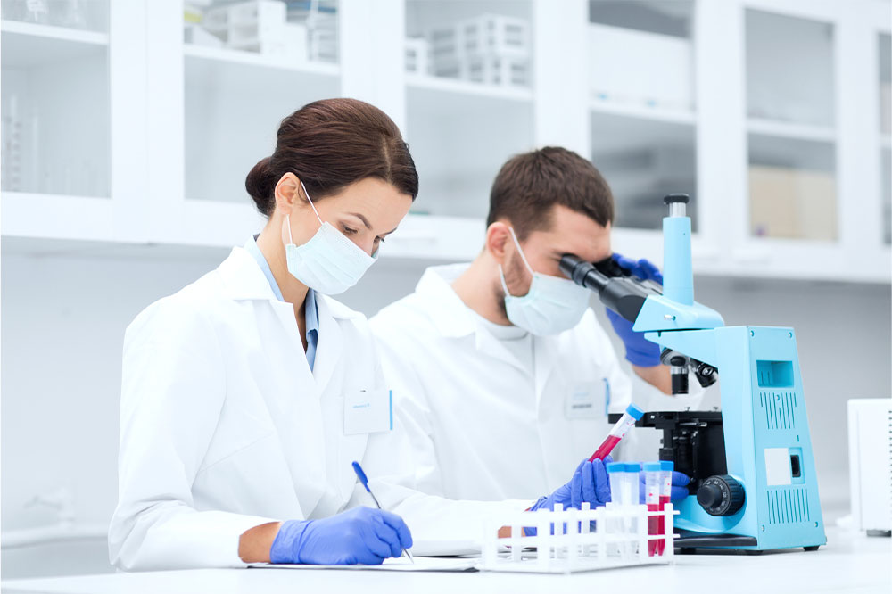 Exploring the Three Main Divisions of Scientific Study