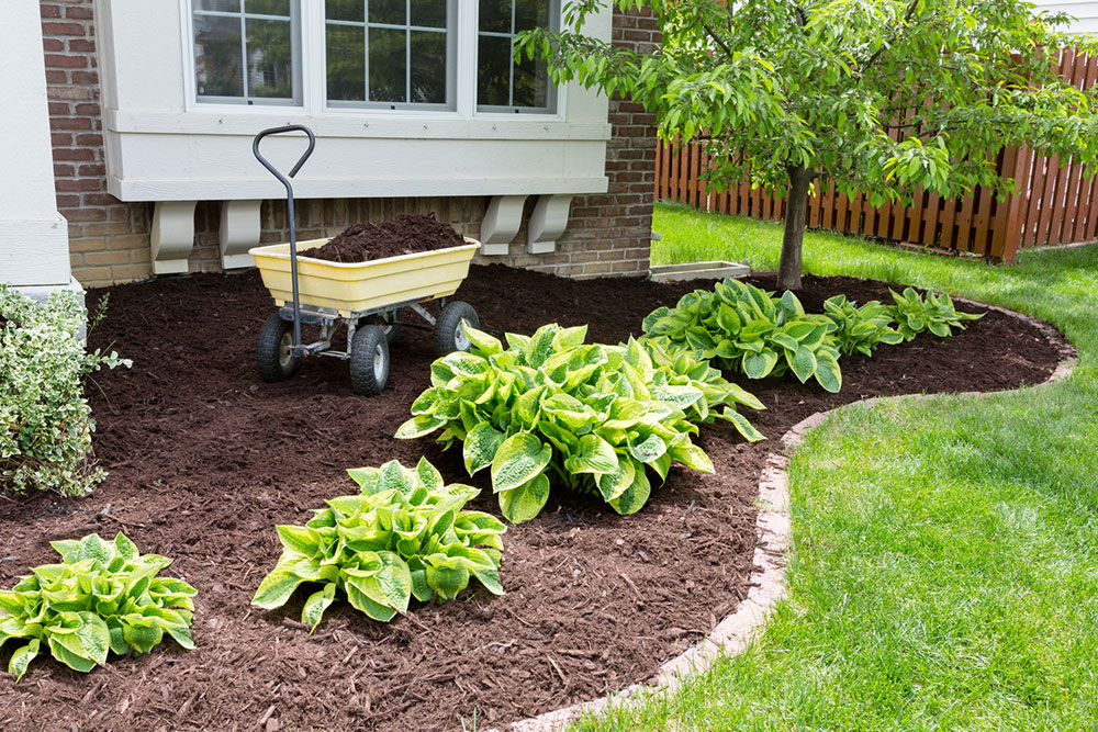 Benefits of Purchasing Rubber Mulch in Large Quantities