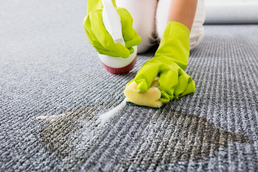Effective Techniques for Removing Coffee, Pet, and Ink Stains from Carpets