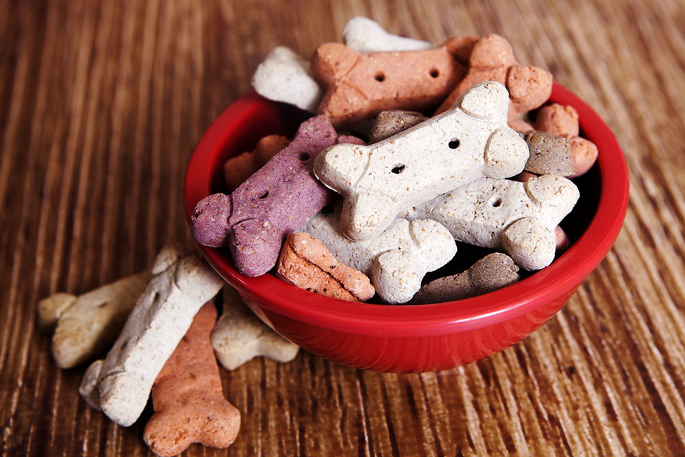 Essential Tips for Selecting Nutritious Dog Food