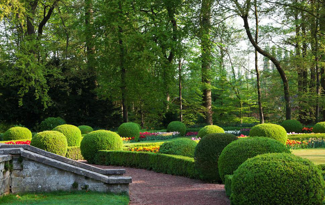 Create an Inviting and Unique Garden for Your Visitors