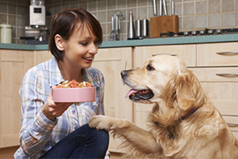 Top Tips for Choosing the Right Dog Food