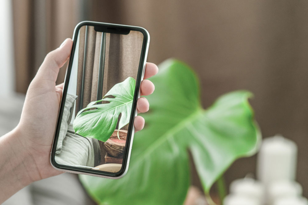 Everything You Need to Know About the Latest Apple iPhones