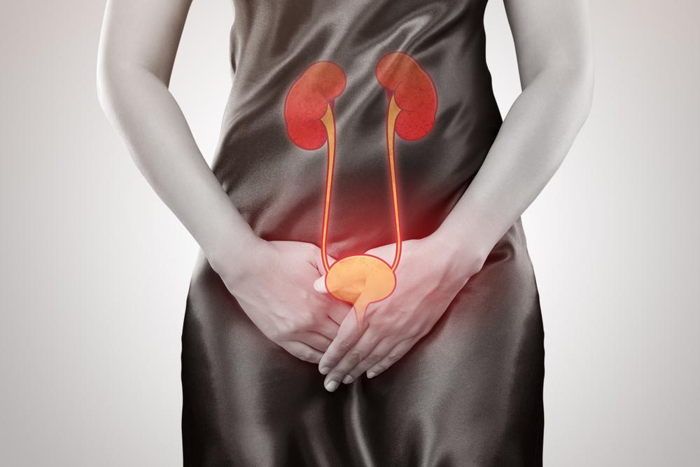 Understanding Urinary Tract Infections: Causes, Symptoms, and Prevention