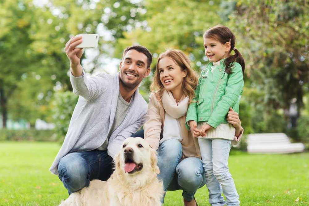 Best Pet Insurance Plans Loved by Pet Owners