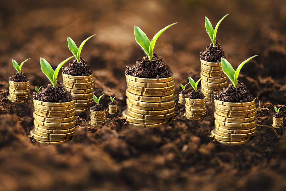 Effective Tactics to Double Your Investment Portfolio