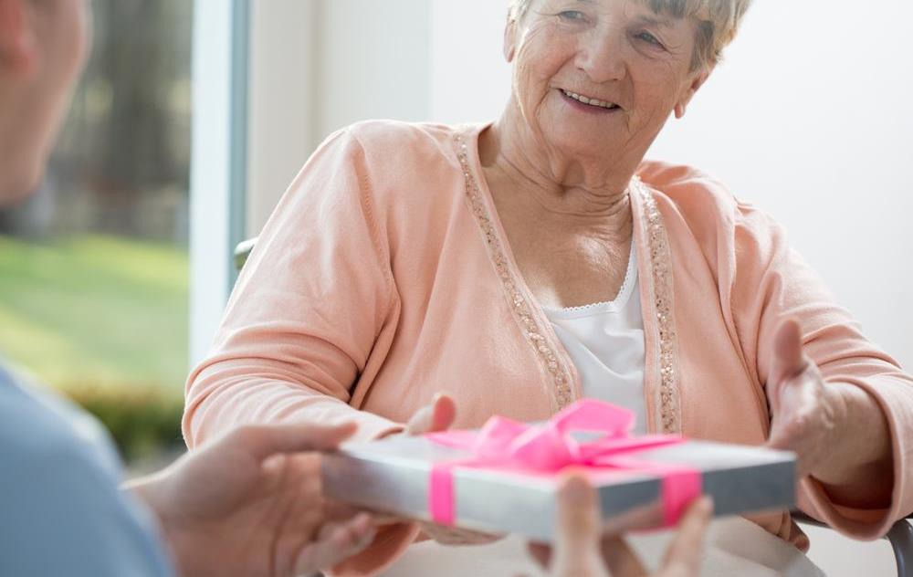 Understanding the Functioning of Senior Care Facilities
