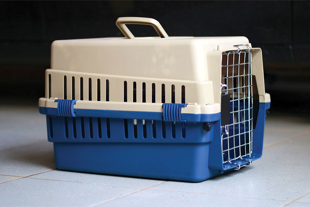 Selecting the Perfect Large Dog Travel Carrier