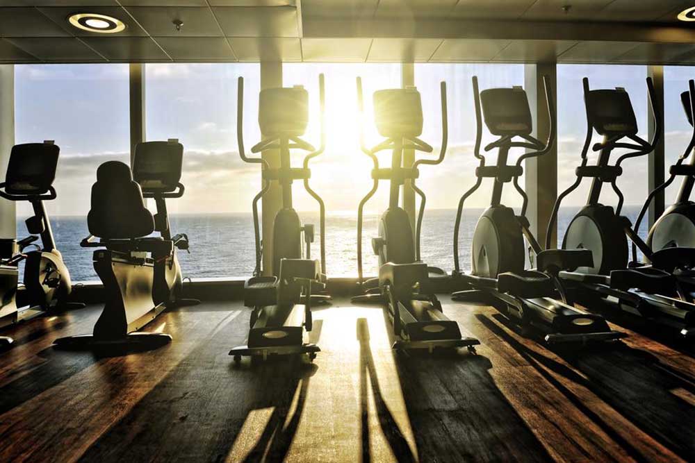 The Top 6 Elliptical Trainers of 2024