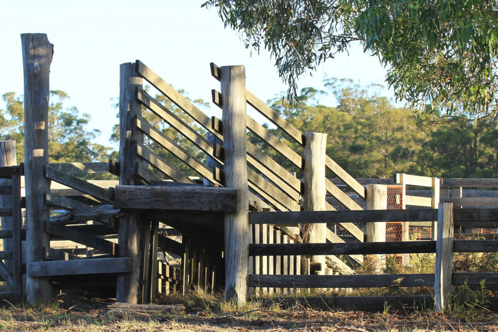 Essential Guide to Yard Ramps for Material Handling