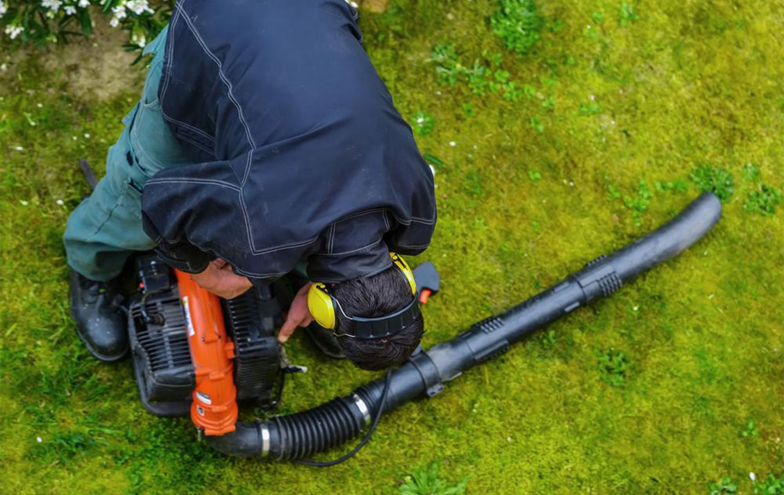 Comprehensive Guide to Choosing the Perfect Garden Leaf Blower for Your Yard