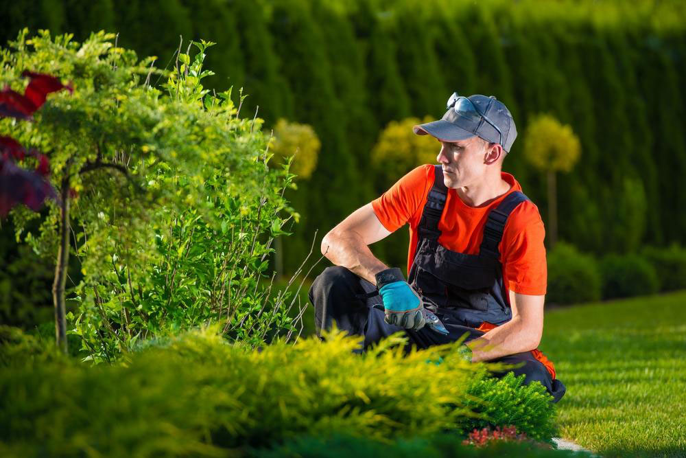 Innovative Garden Design Ideas to Elevate Your Outdoor Space