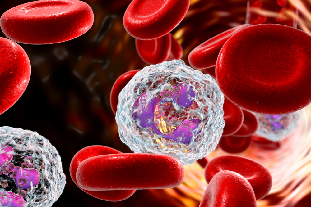 Comprehensive Guide to Neutrophils: Key Players in Immune Defense and Health