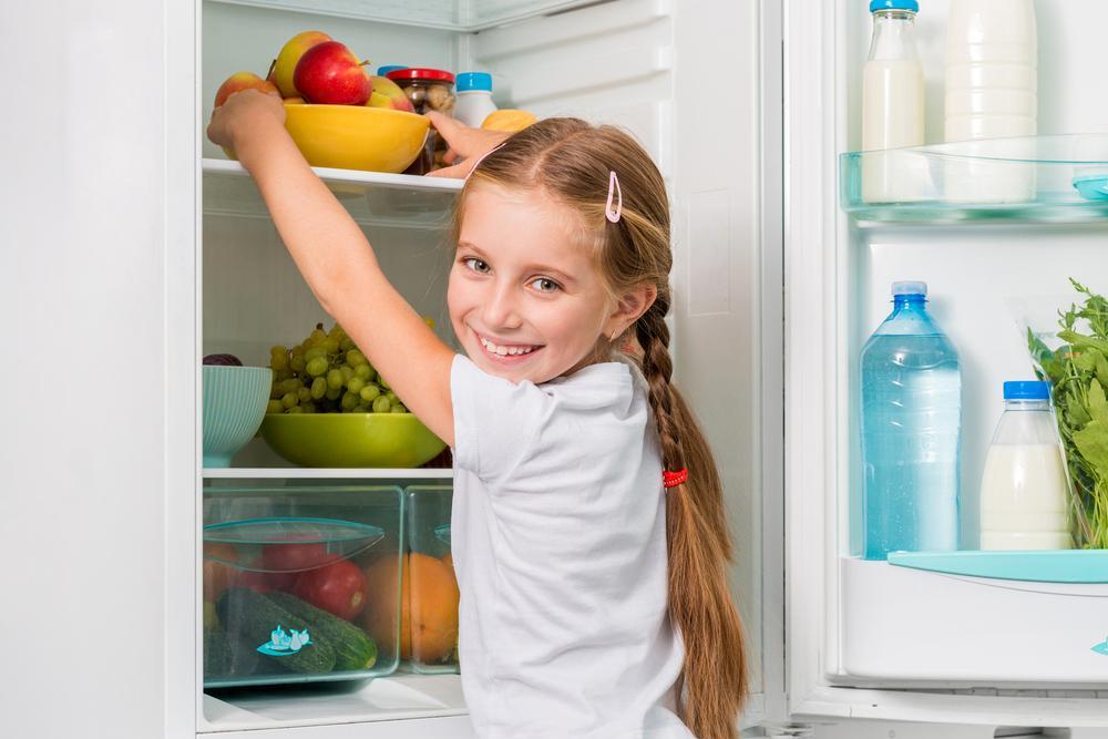 Top LG Refrigerators You Should Consider in 2024