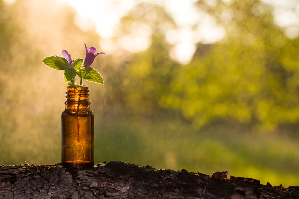 Natural Solutions for Childhood Hair Loss