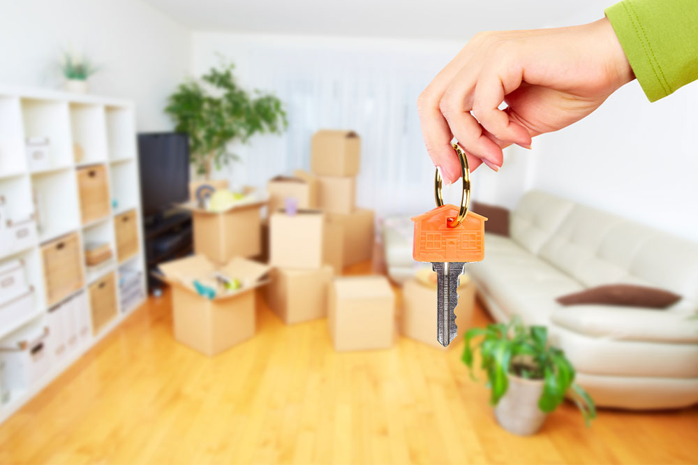 Essential Tips for Securing Your Ideal Rental Apartment