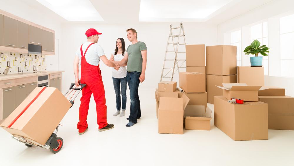 Essential Guide to Equipping Your New Home on a Budget