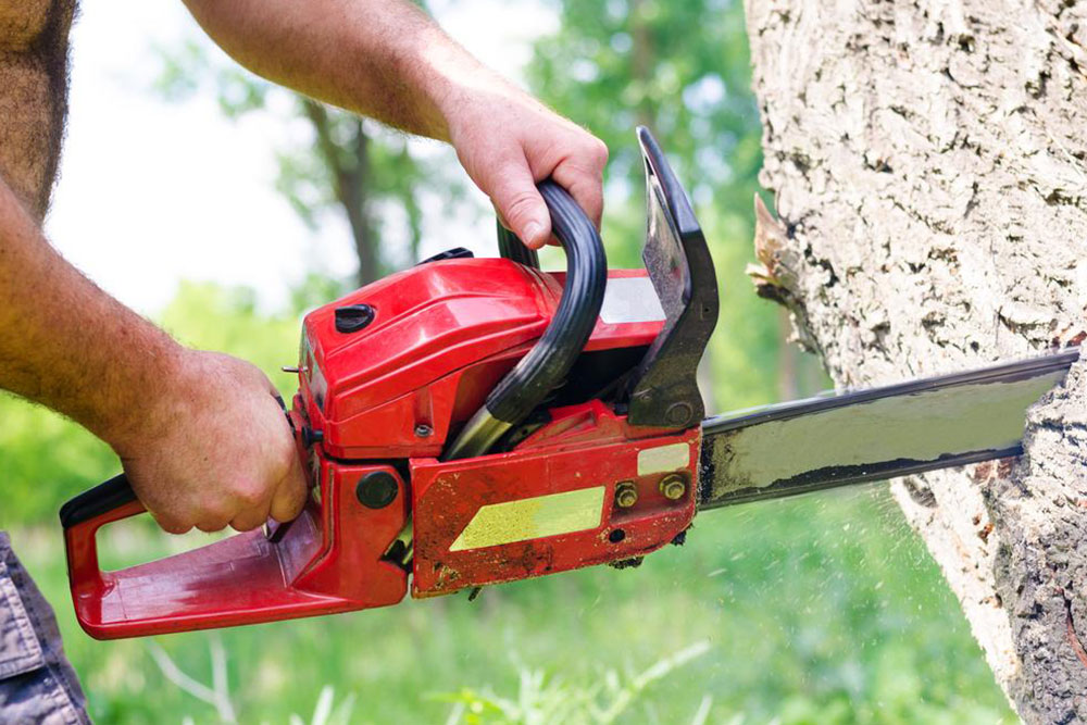 Comprehensive Guide to Chainsaws and the STIHL Brand