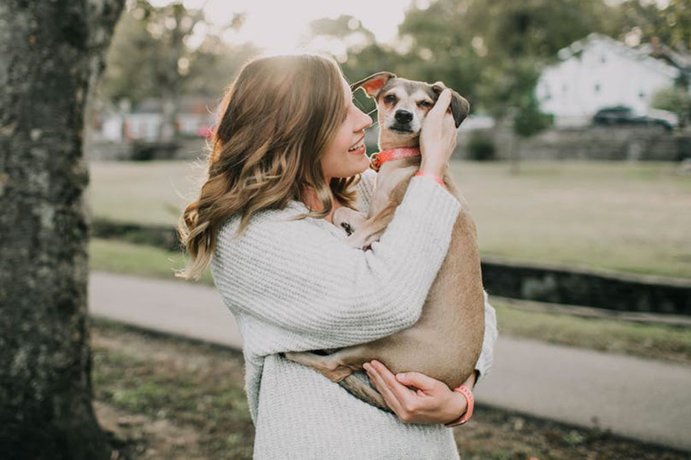 Exploring the Rapid Expansion and Critical Elements of the Pet Insurance Industry