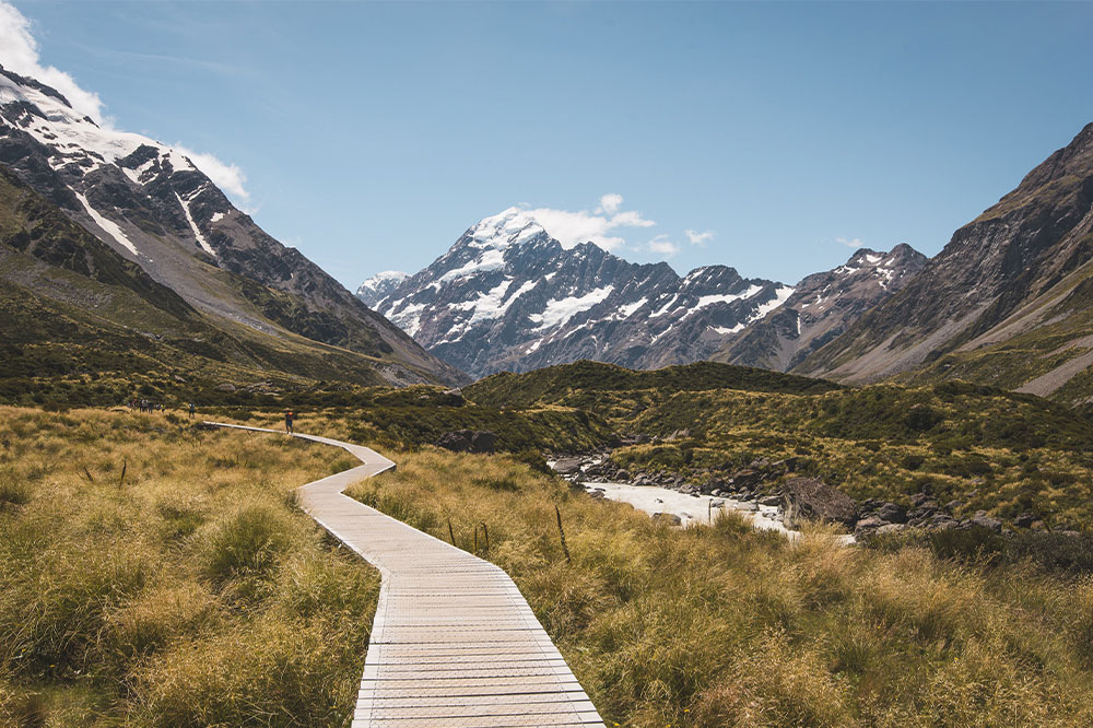 Top 5 Must-Explore Hiking Trails in New Zealand