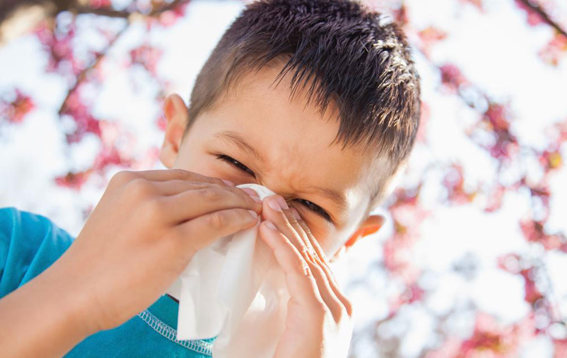 Recognizing Common Signs of Allergies in Dogs