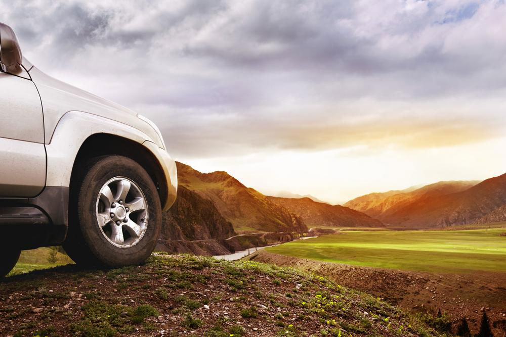 Complete Guide to the Subaru Forester: Features and Insights