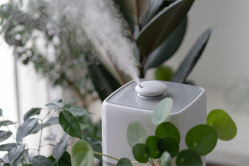 Ultimate Guide to HEPA Air Purifiers: Top Picks for Black Friday Savings