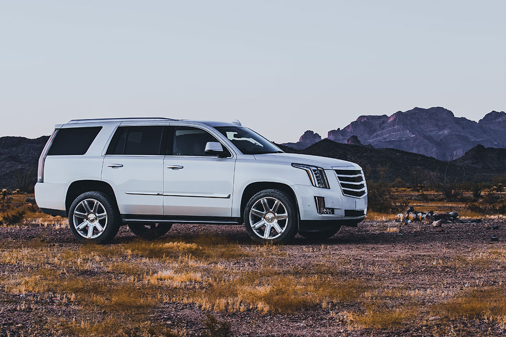 Top Agencies' Cadillac SUV Rental Price Guide
